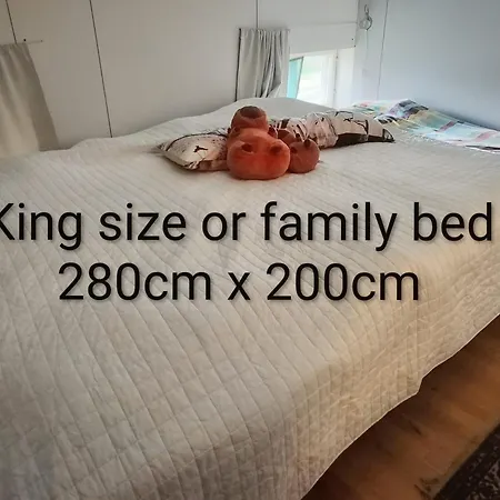 Traditional Finnish 4 Bedroom Family Huvilat